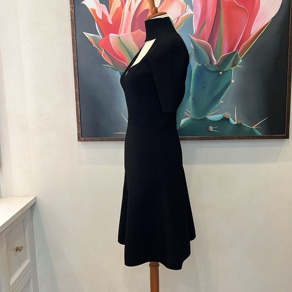 Cushnie ET OCHS Mock-Neck Ribbed A-Line Dress - Picture 2 of 9